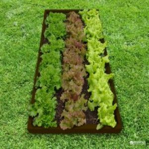 купить Грядка Контур Рент (800.1.4)